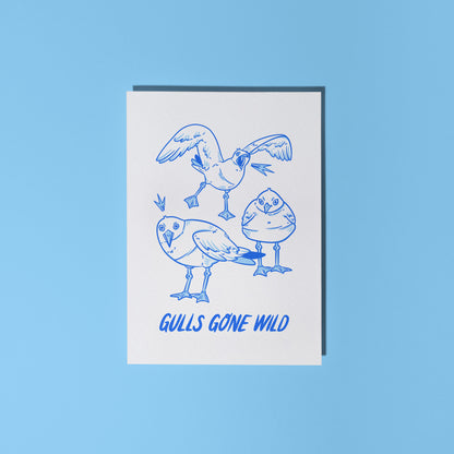 "Gulls Gone Wild" Greetings Card
